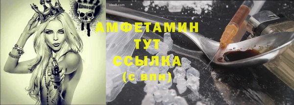 молекула духа Арсеньев
