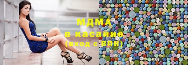 молекула духа Арсеньев
