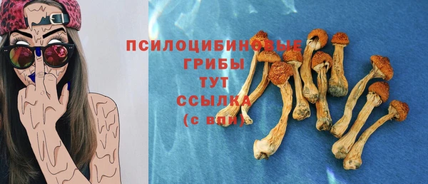 молекула духа Арсеньев