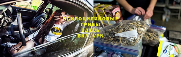 молекула духа Арсеньев