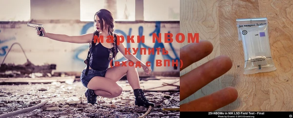 молекула духа Арсеньев