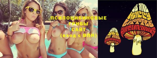 молекула духа Арсеньев