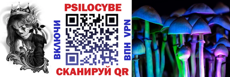 shop официальный сайт Североморск Псилоцибиновые грибы Magic Shrooms